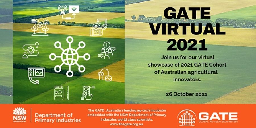Gate Virtual 2021